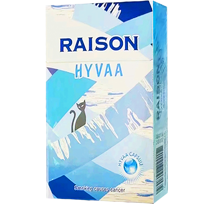 RAISON铁塔猫 冰淇淋 硬盒【Korea】